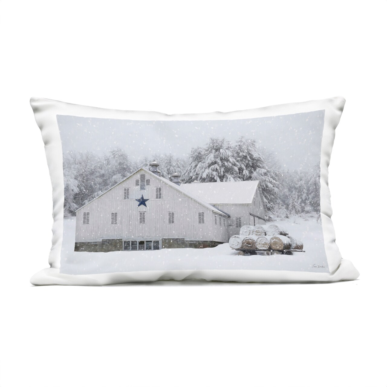 Stupell Industries Snowy White Farmhouse Scene Outdoor Printed Pillow, design by Lori Deiter, 14 x 7 x 20